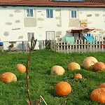 A Casina Di Marcello Hostel